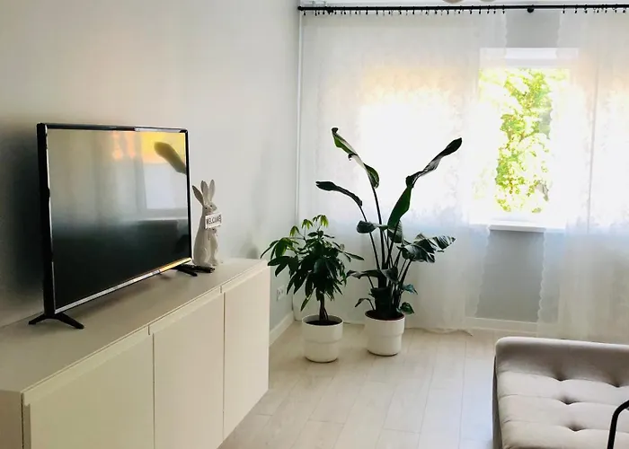 Bisou Elsa * Narva-Jõesuu